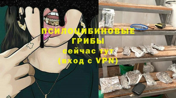 прущая мука Армянск