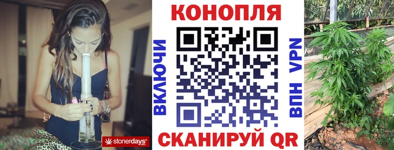 Конопля конопля  Сенгилей 